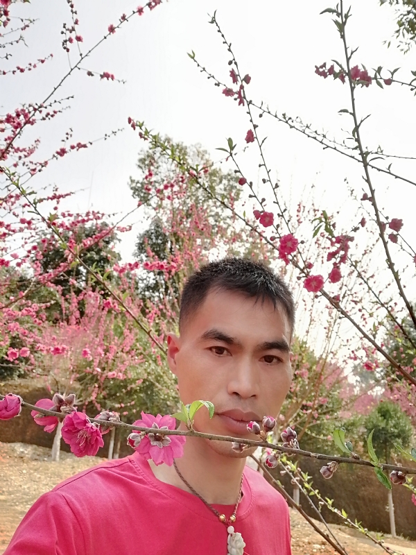 惜緣的第一张照片--爱情114