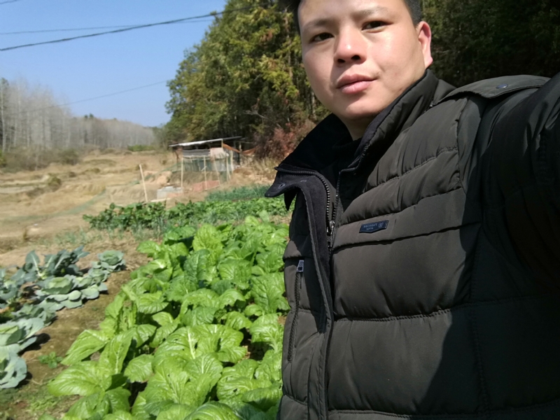 倔强的驴的第一张照片--爱情114