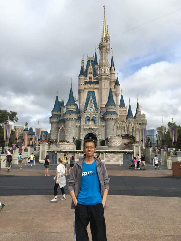 太阳花的第一张照片--爱情114