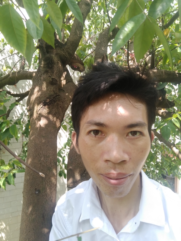 求缘的第二张照片--爱情114