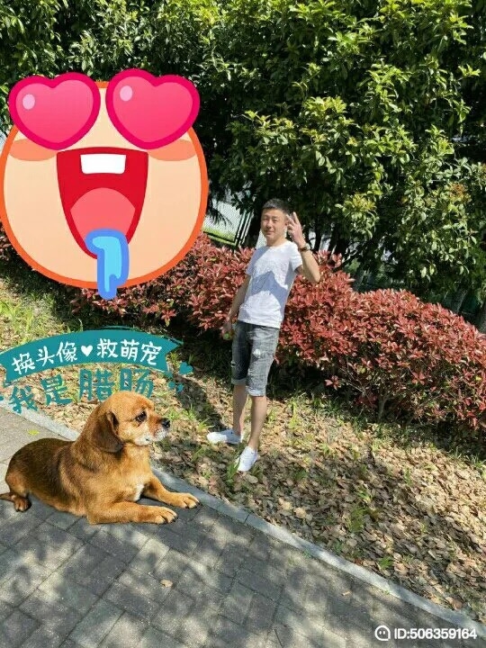 我若不坚强谁替我勇敢的第五张照片--爱情114